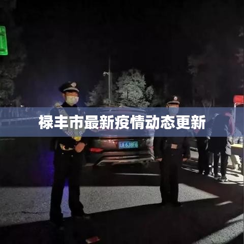 禄丰市最新疫情动态更新