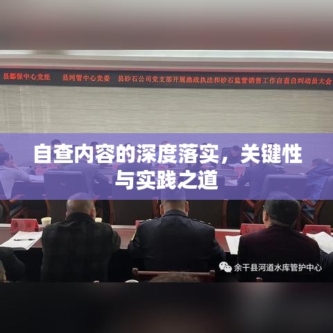 自查内容的深度落实，关键性与实践之道