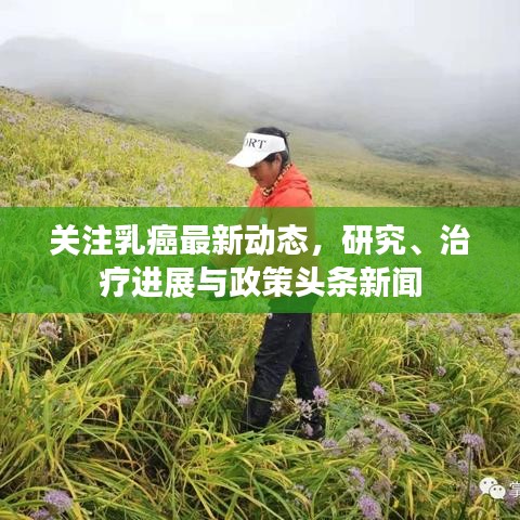 关注乳癌最新动态，研究、治疗进展与政策头条新闻