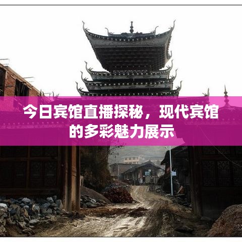 今日宾馆直播探秘，现代宾馆的多彩魅力展示