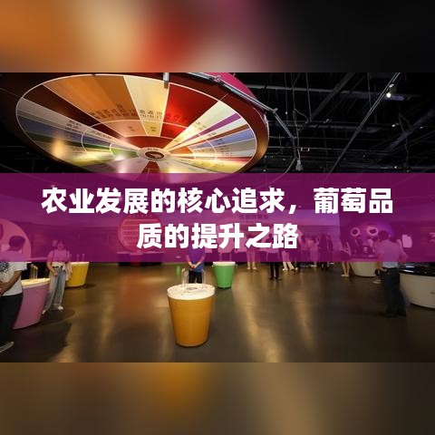 农业发展的核心追求，葡萄品质的提升之路