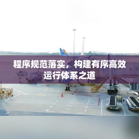 程序规范落实，构建有序高效运行体系之道