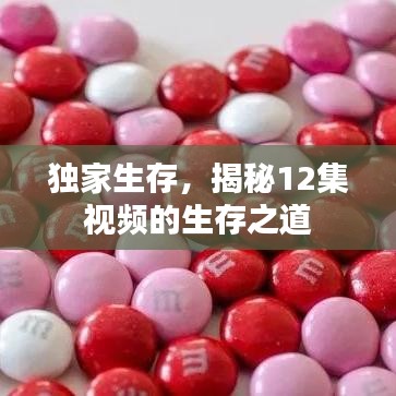 独家生存，揭秘12集视频的生存之道
