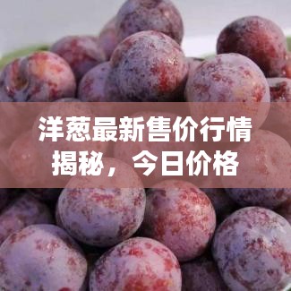 洋葱最新售价行情揭秘，今日价格走势一网打尽！