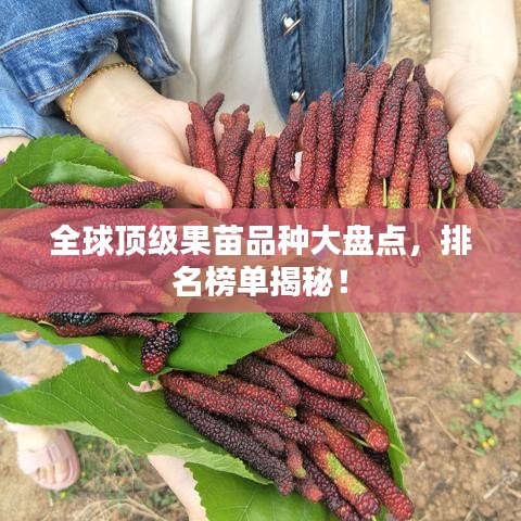 全球顶级果苗品种大盘点，排名榜单揭秘！