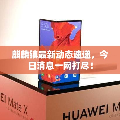 麒麟镇最新动态速递，今日消息一网打尽！