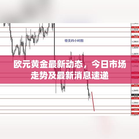 欧元黄金最新动态，今日市场走势及最新消息速递
