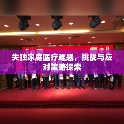 失独家庭医疗难题，挑战与应对策略探索