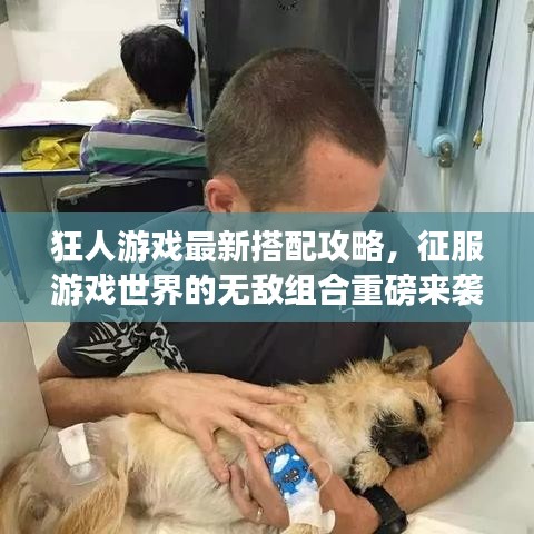 狂人游戏最新搭配攻略，征服游戏世界的无敌组合重磅来袭！