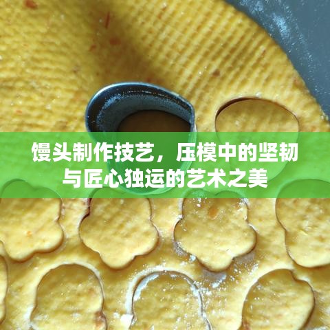 第229页