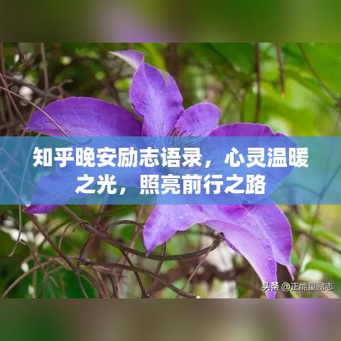 知乎晚安励志语录，心灵温暖之光，照亮前行之路