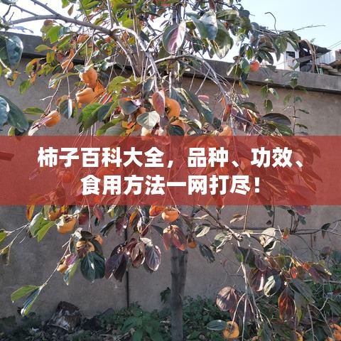 后会难期