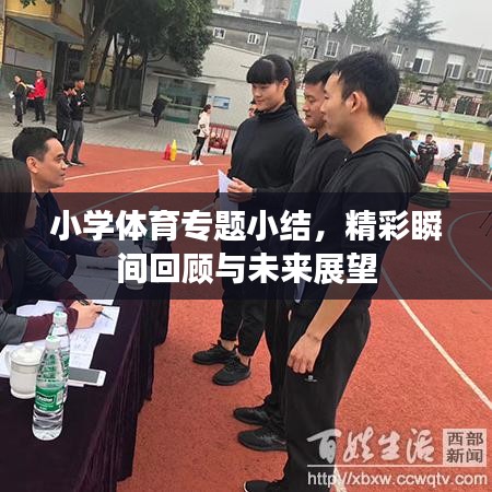 小学体育专题小结，精彩瞬间回顾与未来展望
