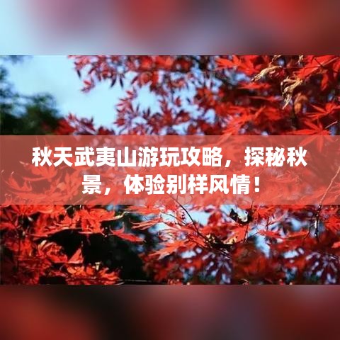 秋天武夷山游玩攻略，探秘秋景，体验别样风情！