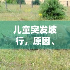 容光焕发