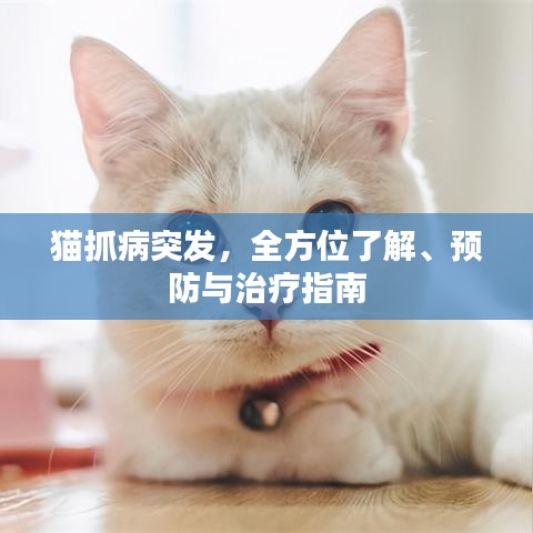 就汤下面