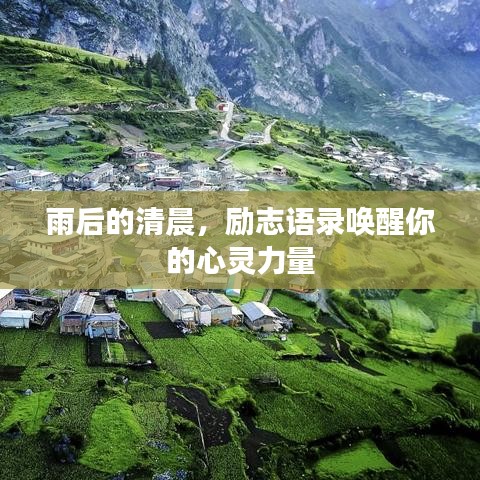 雨后的清晨，励志语录唤醒你的心灵力量