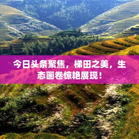 今日头条聚焦，梯田之美，生态画卷惊艳展现！