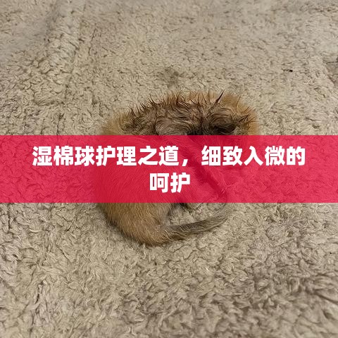 水静河飞