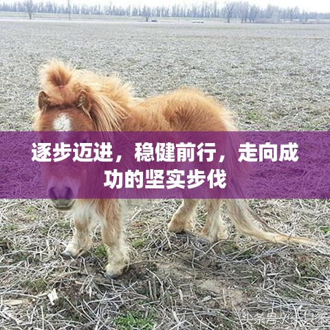 高人雅士