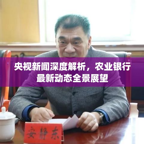央视新闻深度解析，农业银行最新动态全景展望