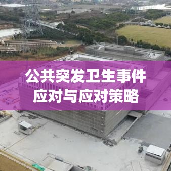 公共突发卫生事件应对与应对策略
