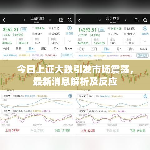 今日上证大跌引发市场震荡，最新消息解析及反应