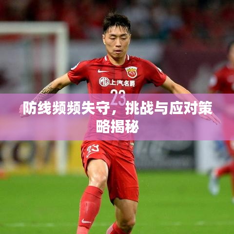 成功案例 第13页
