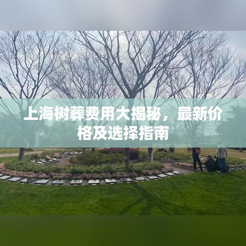 上海树葬费用大揭秘，最新价格及选择指南