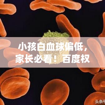 济济一堂