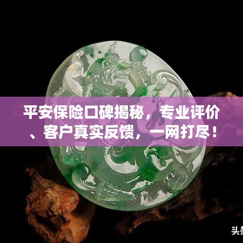 平安保险口碑揭秘，专业评价、客户真实反馈，一网打尽！