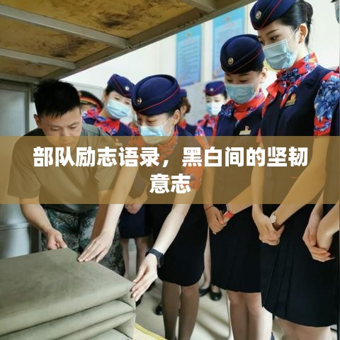 加入我们 第11页