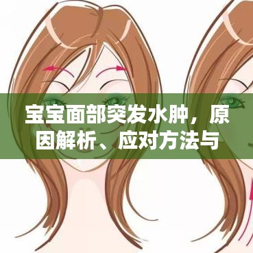 拾金不昧