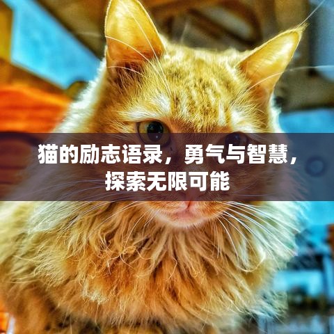 九死一生