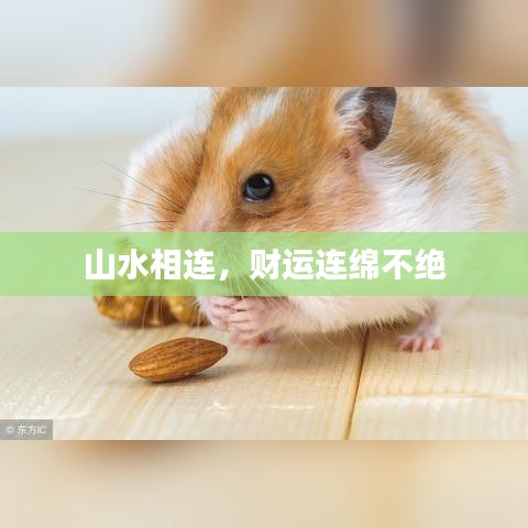 斗志昂扬