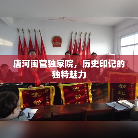 鸟革翬飞