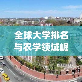 2025年4月 第11页