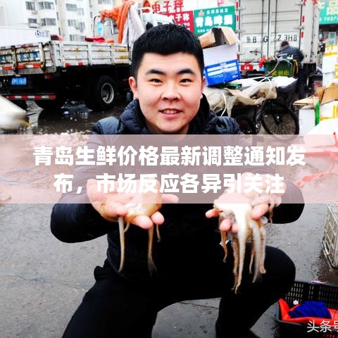 明夷于飞