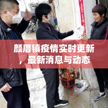 颜厝镇疫情实时更新，最新消息与动态