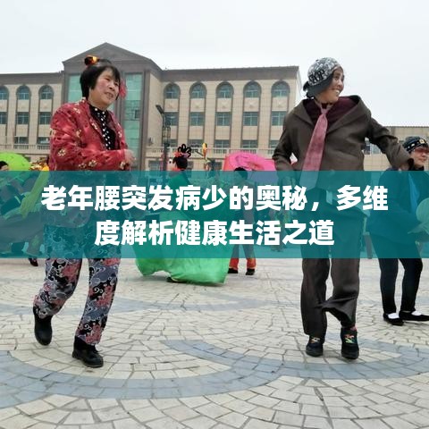 花样新翻