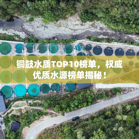 都中纸贵