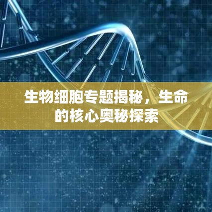 法律知识 第3页