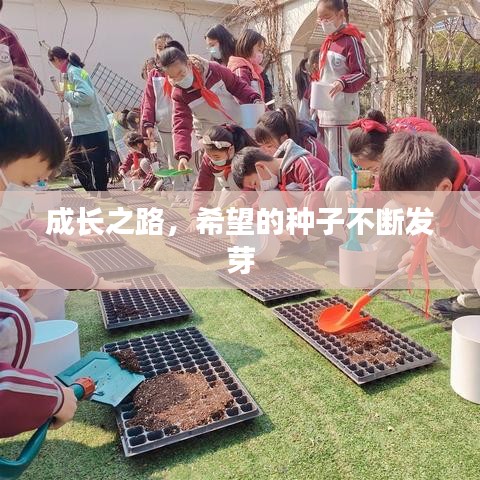 管窥蛙见