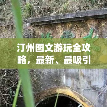 物以希为贵