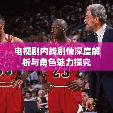电视剧内线剧情深度解析与角色魅力探究