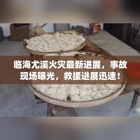 临海尤溪火灾最新进展，事故现场曝光，救援进展迅速！