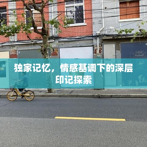 独家记忆，情感基调下的深层印记探索