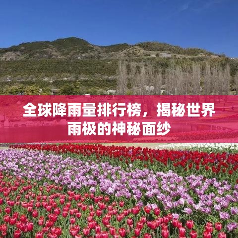 全球降雨量排行榜，揭秘世界雨极的神秘面纱