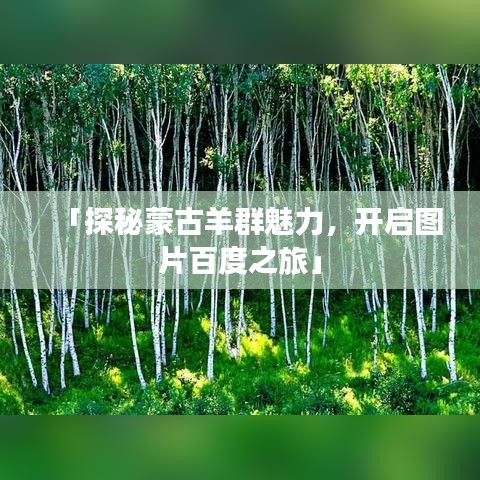 「探秘蒙古羊群魅力，开启图片百度之旅」