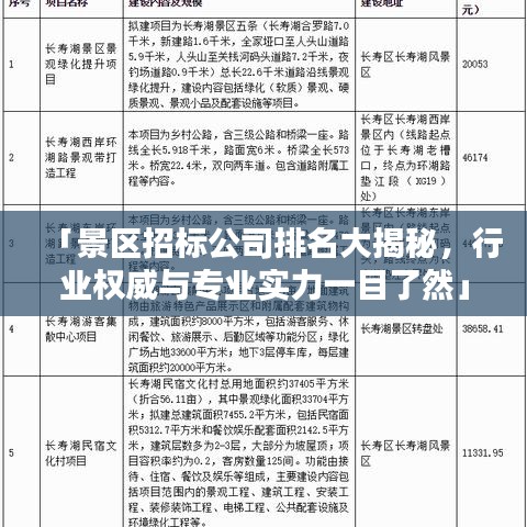 「景区招标公司排名大揭秘，行业权威与专业实力一目了然」